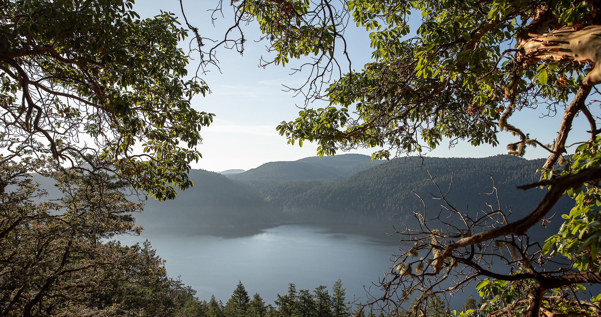 Media  Malahat Skywalk