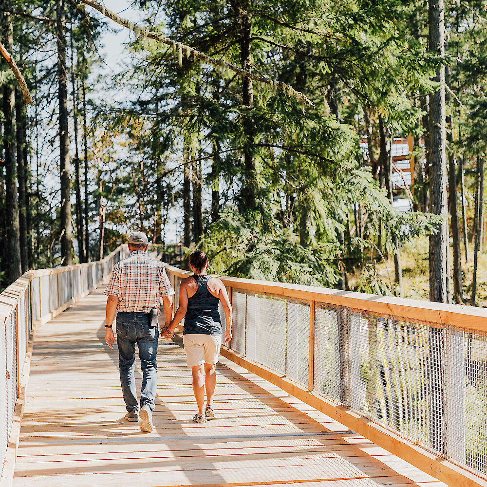 Malahat Skywalk sunset