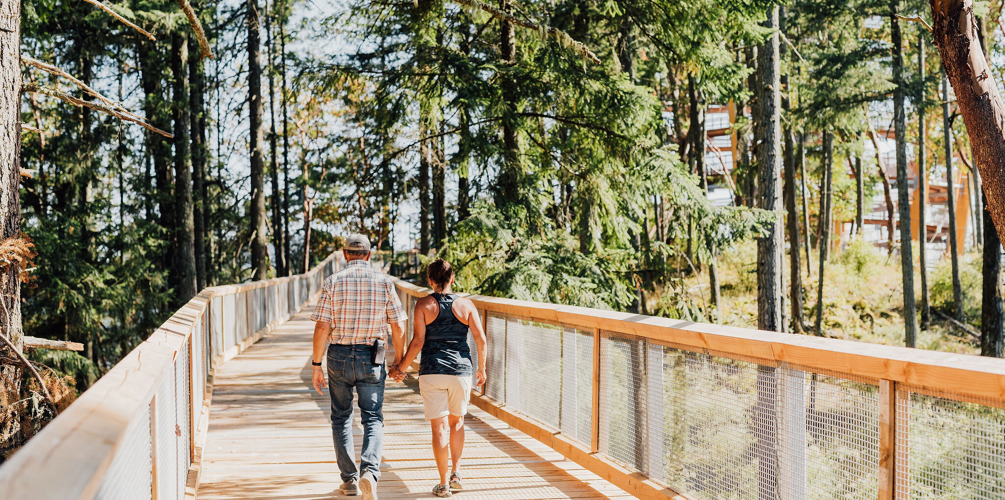 Malahat Skywalk sunset