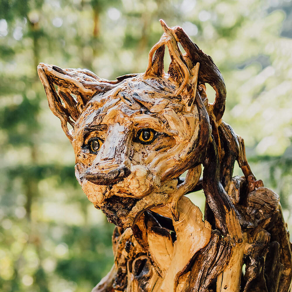 Driftwood Owl Tanya Bub