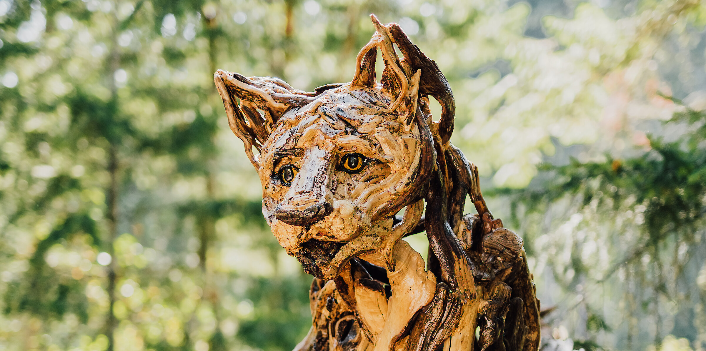 Driftwood Owl Tanya Bub