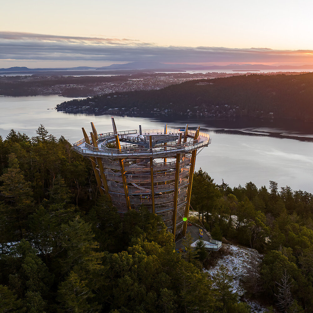 top things to do in victoria bc, best things to do in victoria bc, fun things to do in victoria bc, malahat skywalk, malahat skywalk victoria