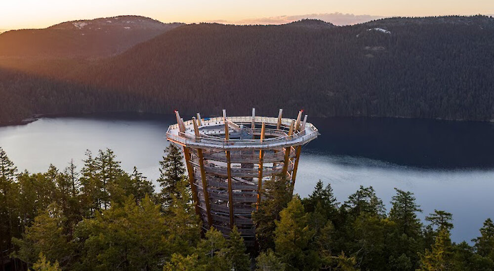Five Things To Do at Malahat SkyWalk This Fall