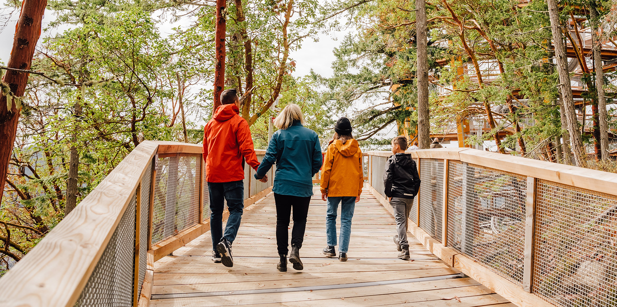 fall things to do, things to do victoria, things to do victoria bc, best things to do in victoria bc, malahat skywalk