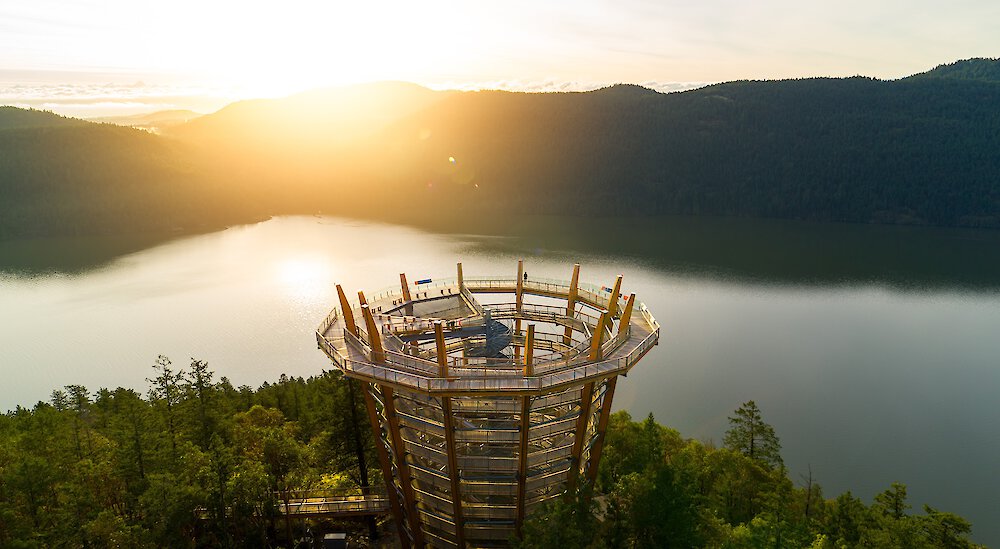 10 Things To Do This Spring at the Malahat Skywalk