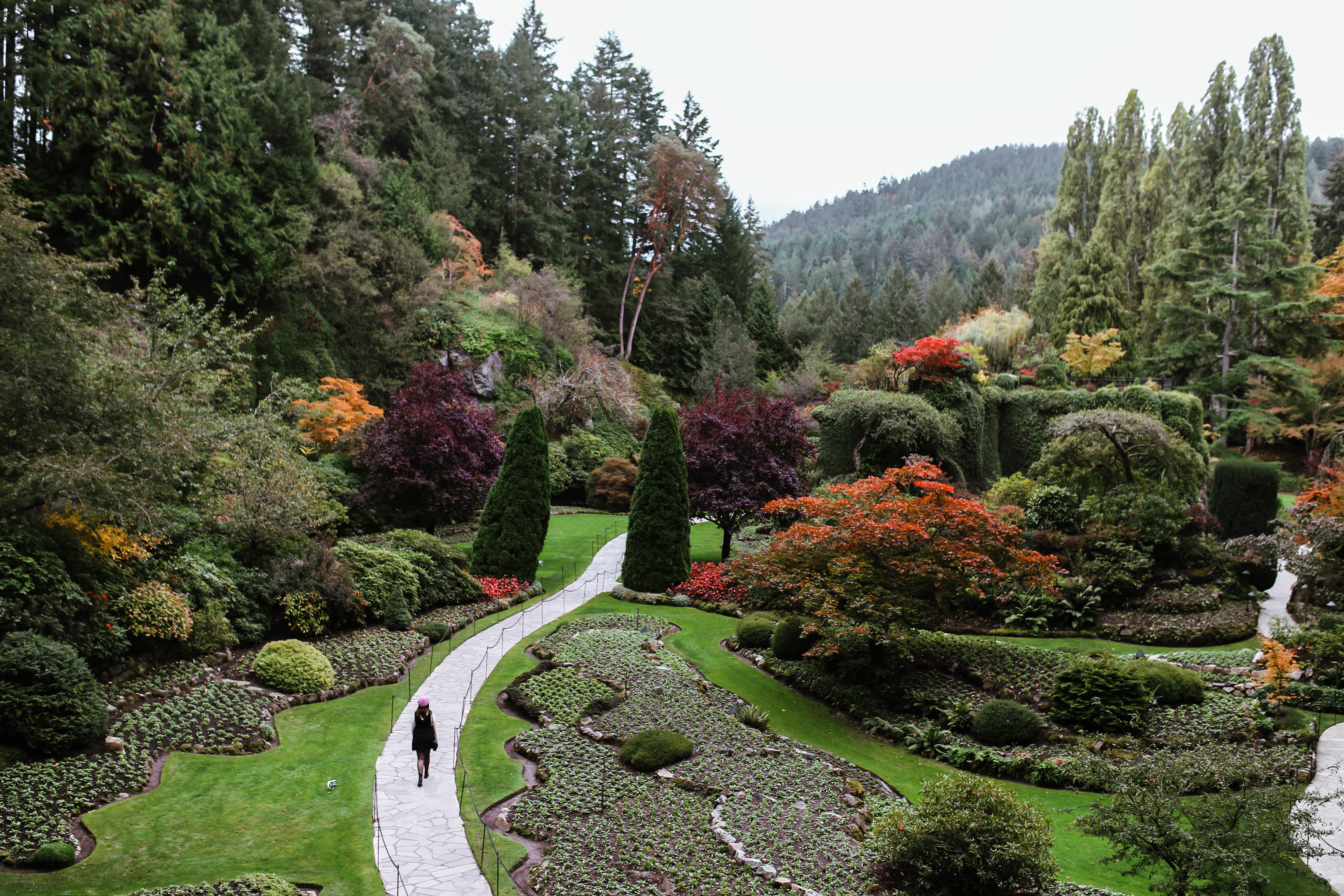 Butchart Gardens.