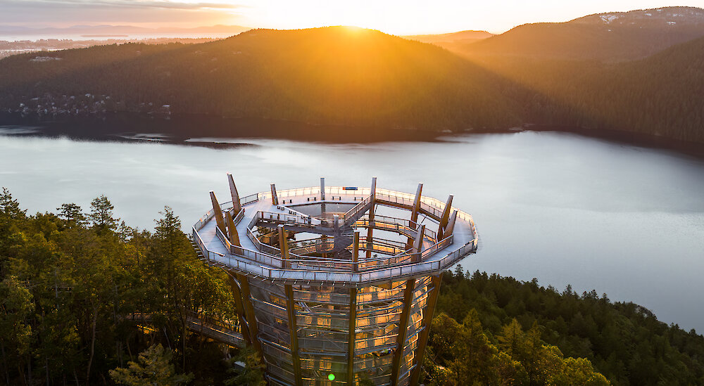 Malahat SkyWalk Honored with EcoStar Award for Experiential Tourism | Vancouver Island Activities