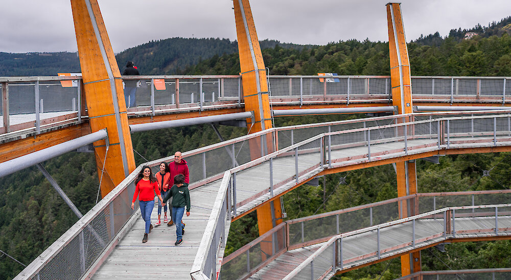 Malahat SkyWalk Takes Family Day Weekend to New Heights with Adventure, Thrills & Endless Fun