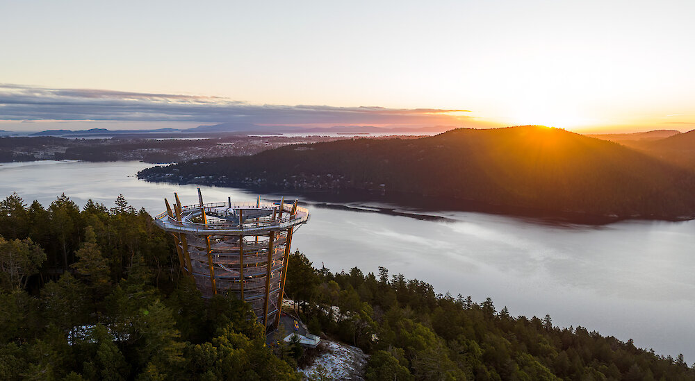 Malahat SkyWalk is giving locals all the perks with amazing savings and unlimited visits year-round