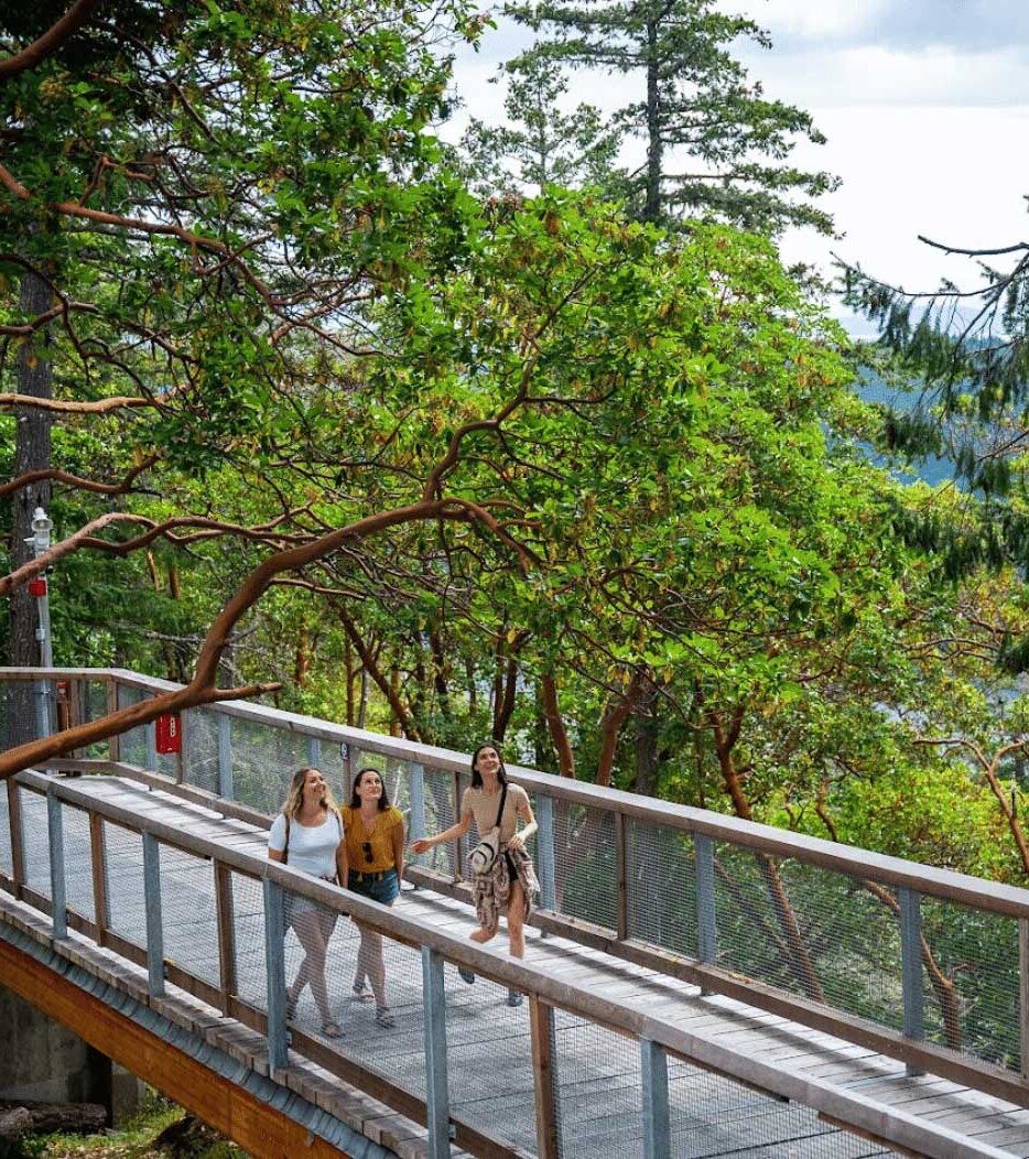 TreeWalk Elevated BoardWalk at Malahat SkyWalk