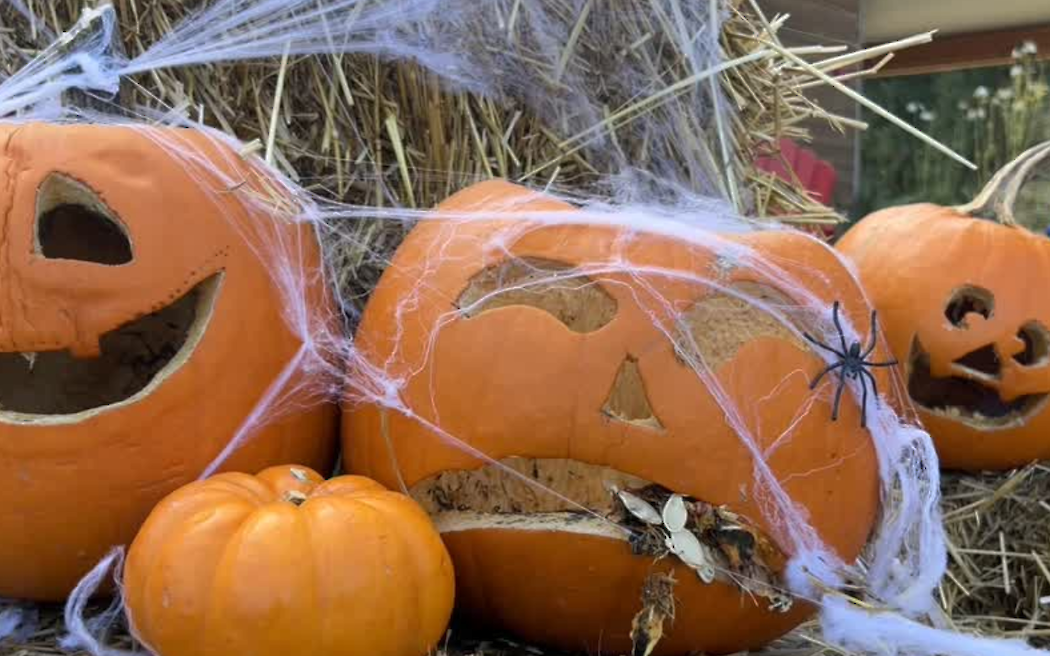 Frights in the Heights 2025