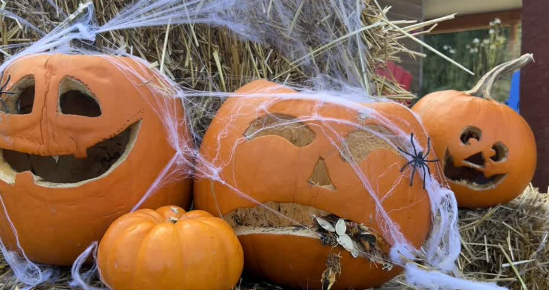 Carved Halloween pumpkins