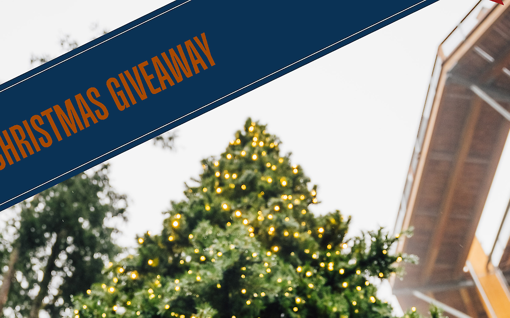 12 Days of Christmas Giveaway