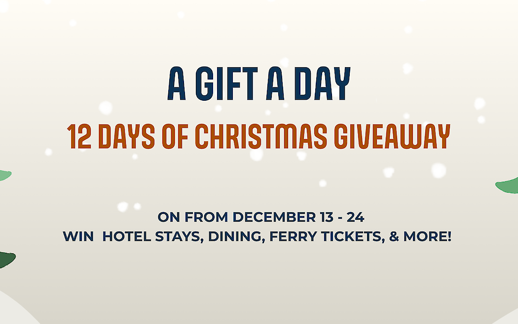 12 Days of Christmas Giveaway