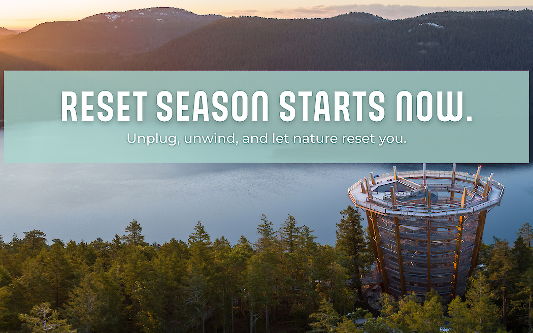 Coastal Forest Bathing at Malahat SkyWalk
