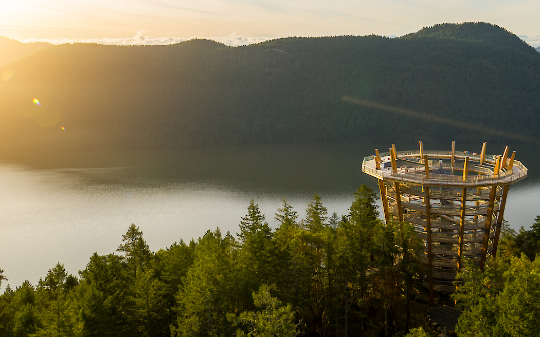 Annual Membership Sale 2026