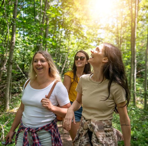 Three guests enjoying a hike down the nature trail