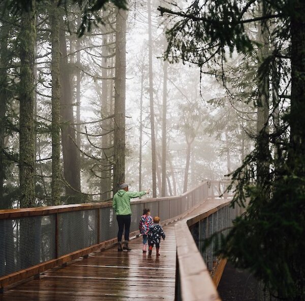 A young family walks down the tree walk in the rain and mist