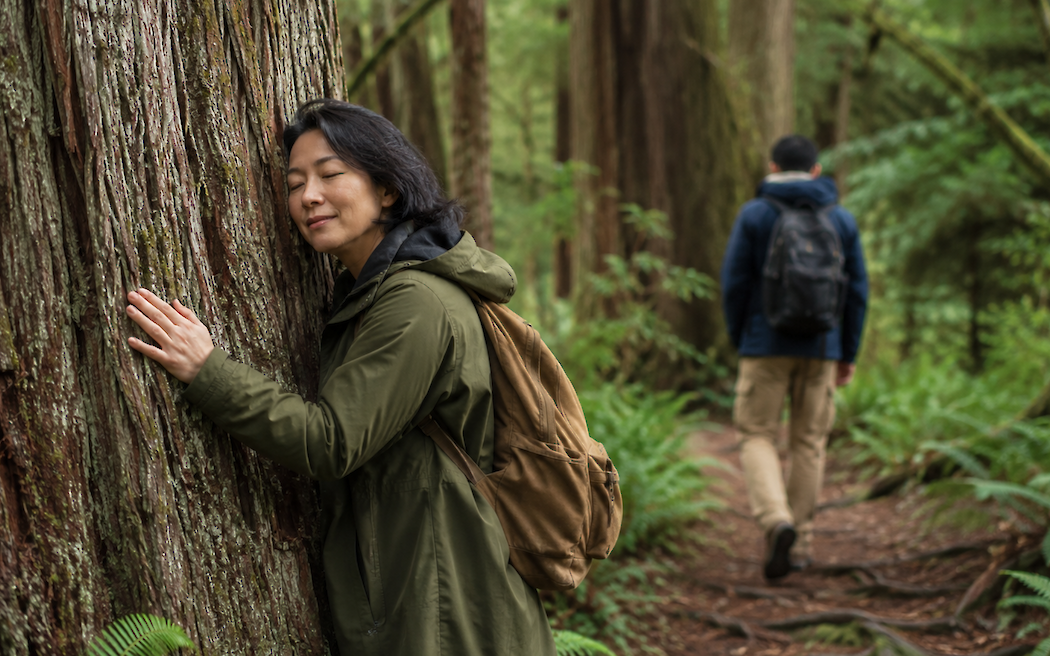 Coastal Forest Bathing Experience