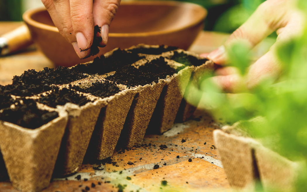 Seed-to-Sky Planting Bar