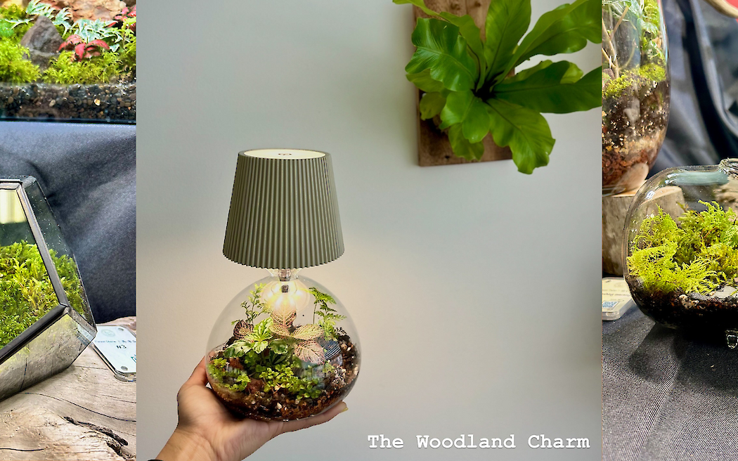 Tiny Worlds, Tall Trees: A Woodland Charm Pop-Up