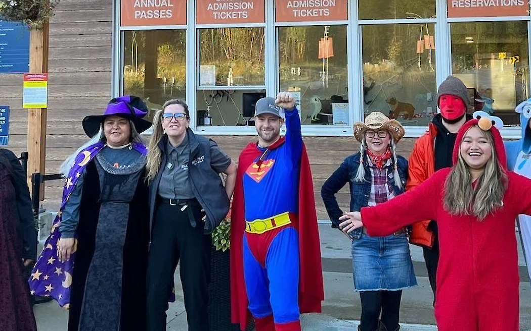 Halloween in the Heights