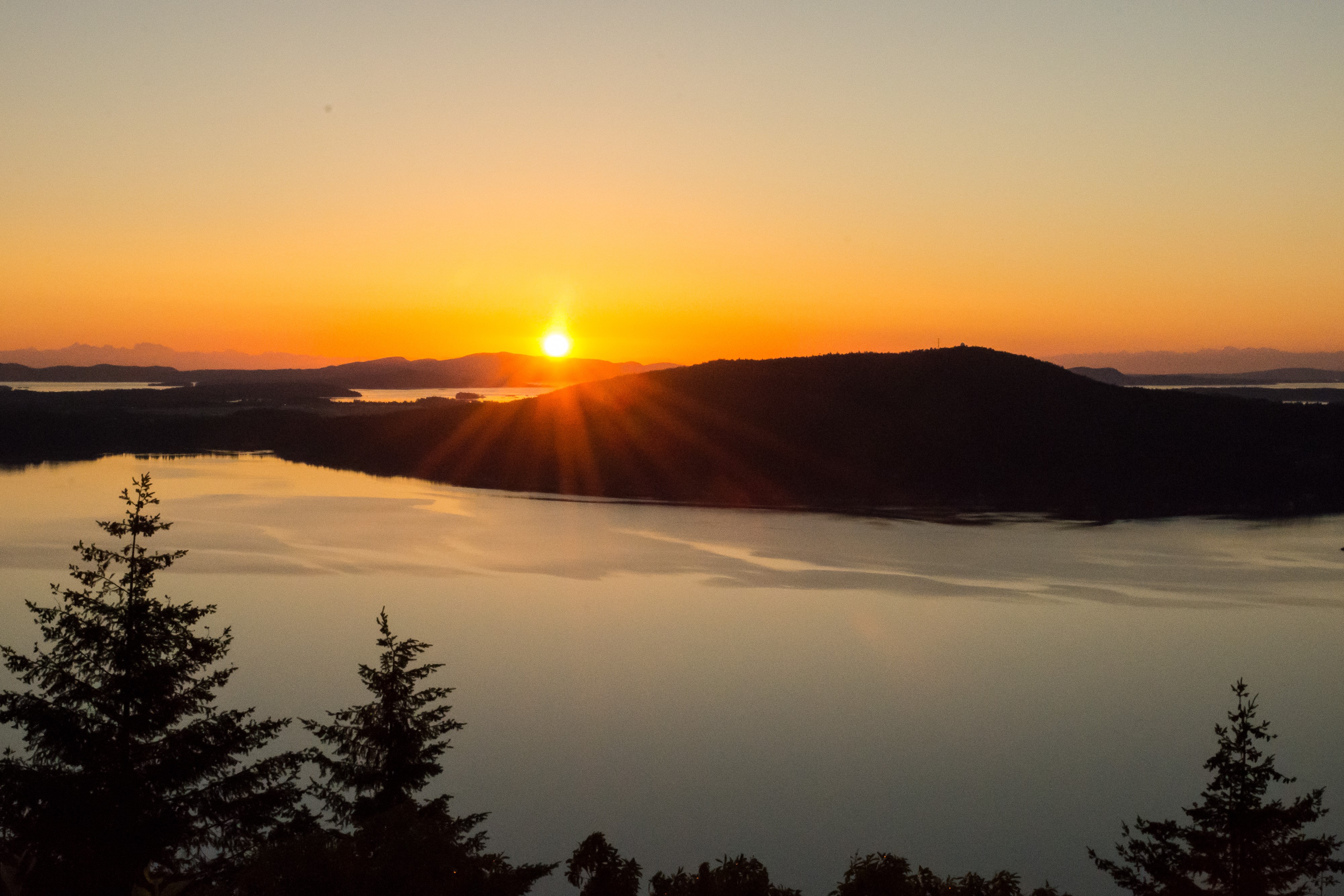 Malahat Skywalk Scenery